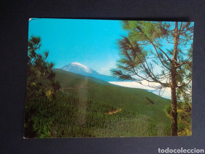 Postales: POSTAL DE TENERIFE. CANARIAS. - Foto 1