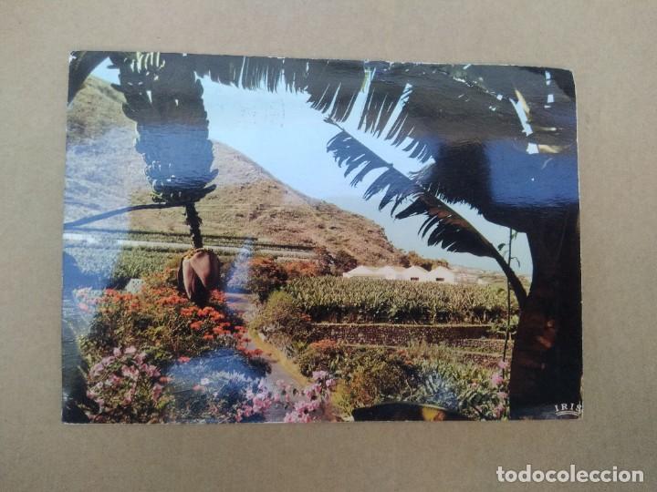 Cartoline: Postal islas canarias, en las carreteras de la costa norte