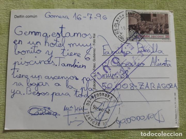 Postales: CANARIAS - GOMERA - DELF&Iacute;N COMUN - 1996 - Foto 2