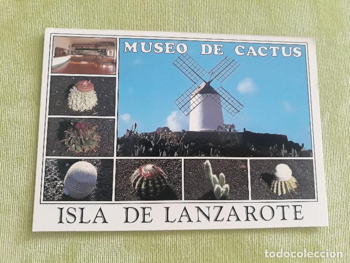 Postales: Museo del Cactus - Lanzarote - Islas Canarias - Foto 1