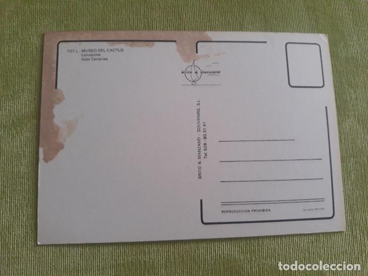 Postales: Museo del Cactus - Lanzarote - Islas Canarias - Foto 2