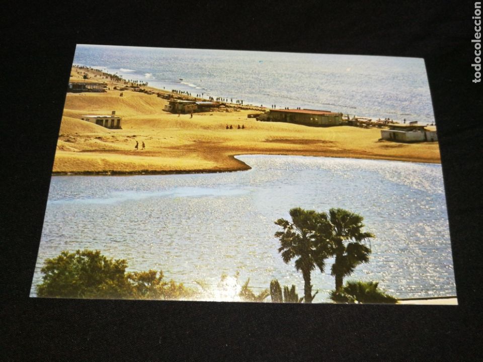 Postales: GRAN CANARIA, A&Ntilde;O 1977,POSTAL. - Foto 1