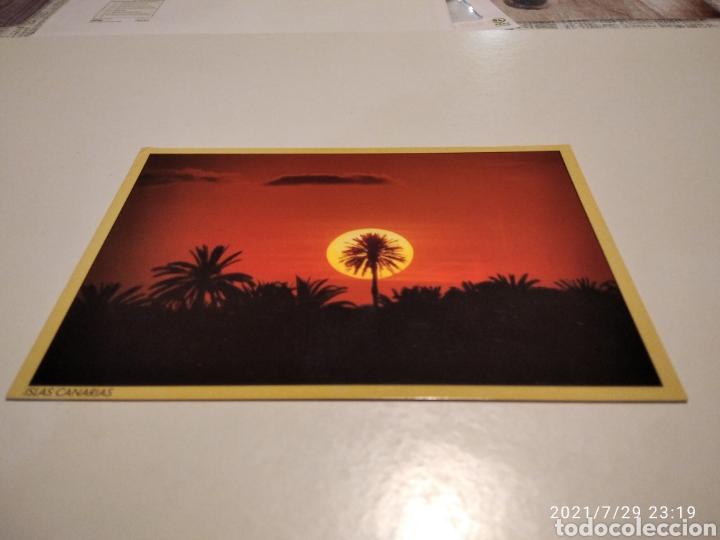 Postcards: Postal islas Canarias puesta de sol Palmera
