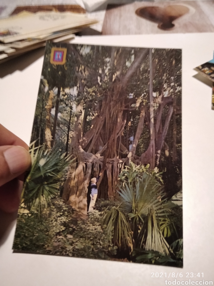 Postales: Postal la Orotava jard&iacute;n bot&aacute;nico - Foto 1