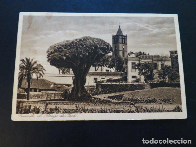 Postales: TENERIFE EL DRAGO DE ICOD - Foto 1