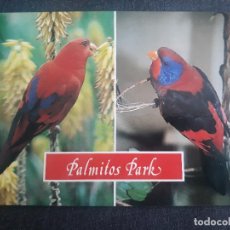 Postales: PALMITOS PARK - MASPALOMAS - LAS PALMAS DE GRAN CANARIA. Lote 285264433