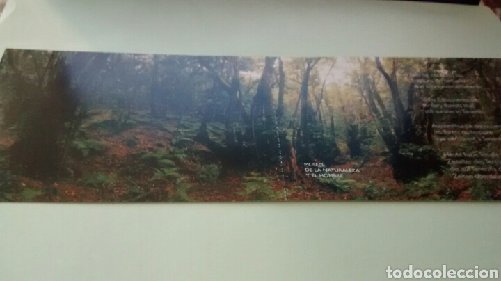 Cartes Postales: MUSEO DE LA NATURALEZA Y DEL HOMBRE. S.C DE TENERIFE. CANARIAS. POSTAL DOBLE. SIN CIRCULAR.