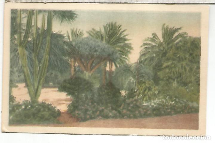Postales: CANARIAS LAS PALMAS - Foto 1