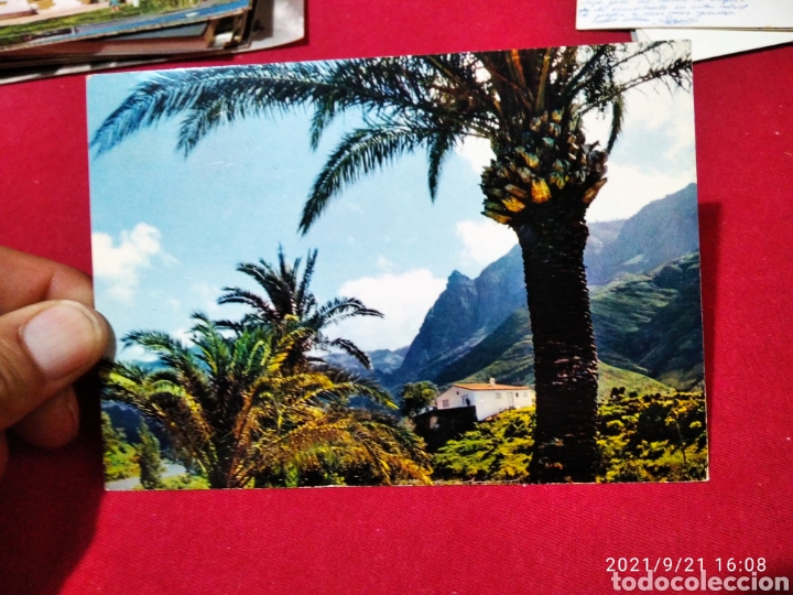 Postales: Canarias valle de agaete - Foto 1