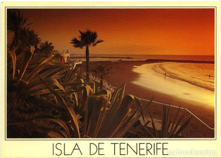 Postales: N&ordm; 119-ISLAS CANARIAS. Playa de las Am&eacute;ricas. Sin circular. ED. IMAGINA, S.L.