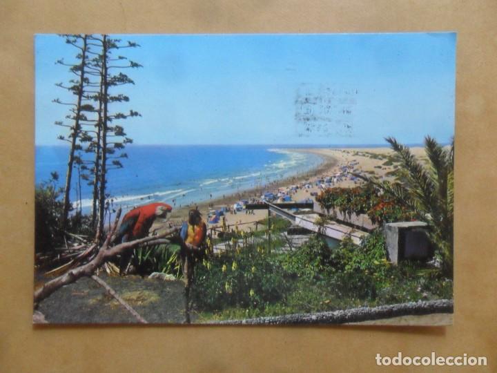 Postales: POSTAL - GRAN CANARIA - PLAYA DEL INGLES - Foto 1