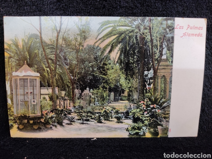 Postales: Antigua postal Las palmas alameda - Foto 1