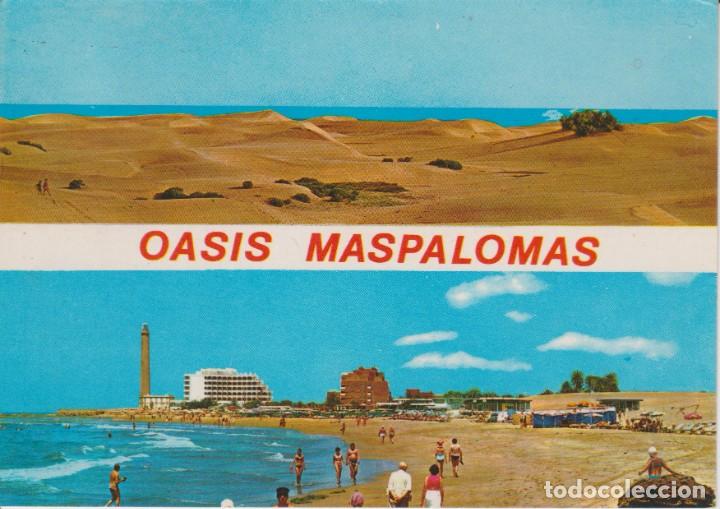 Postales: (6262) OASIS MASPALOMAS . TENERIFE - Foto 1