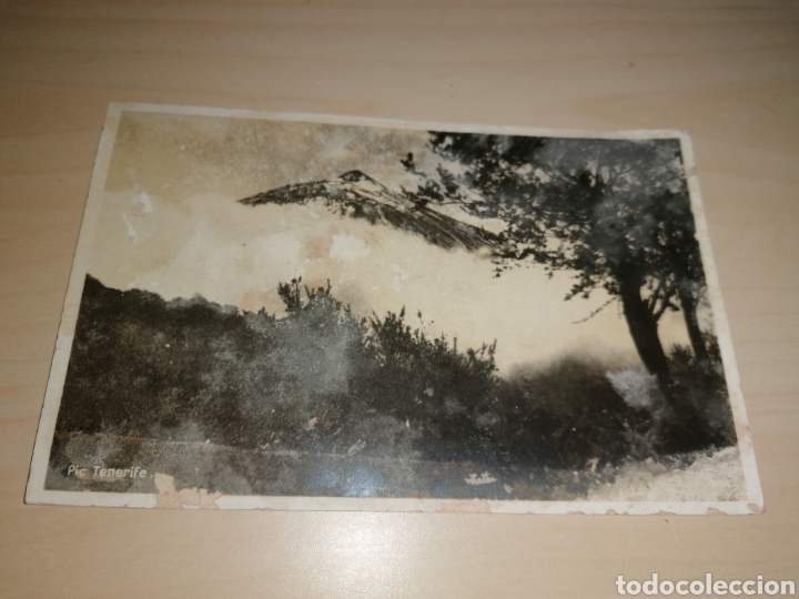 Postales: Antigua postal de Tenerife - Foto 1