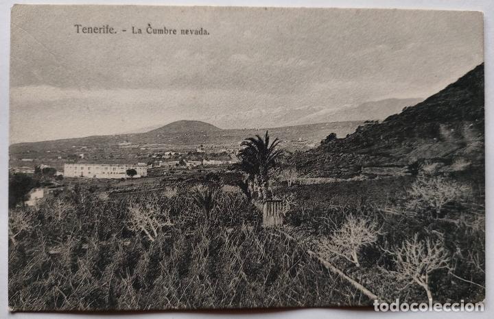 Postales: TENERIFE LA CUMBRE NEVADA - Foto 1