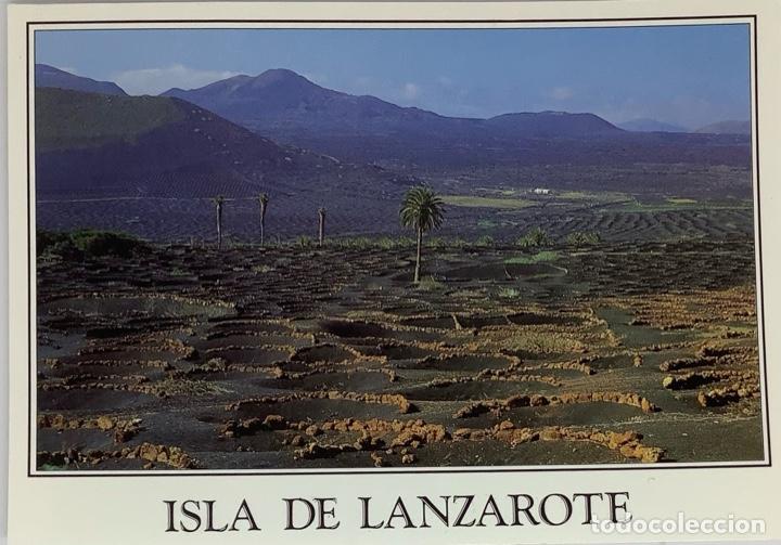 Postales: LANZAROTE, La Geria. A Murillo. Circulads 1996. - Foto 1