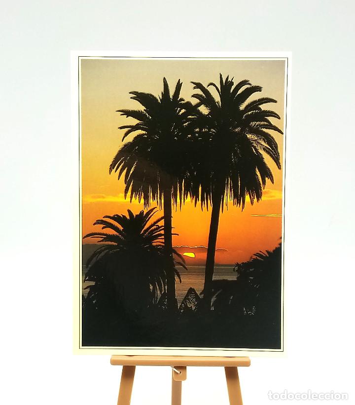 Postales: Postal 88 Islas Canarias - Foto 1