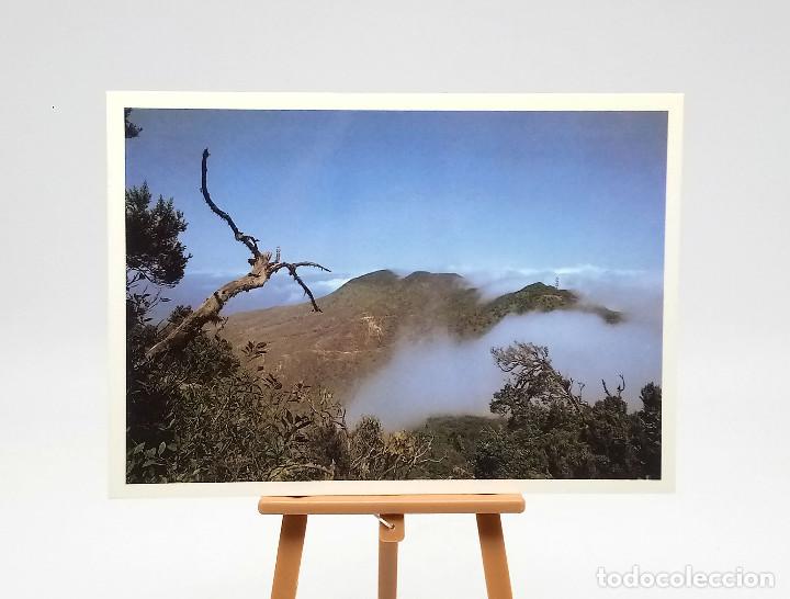Postales: Postal 64 Islas Canarias - Foto 1
