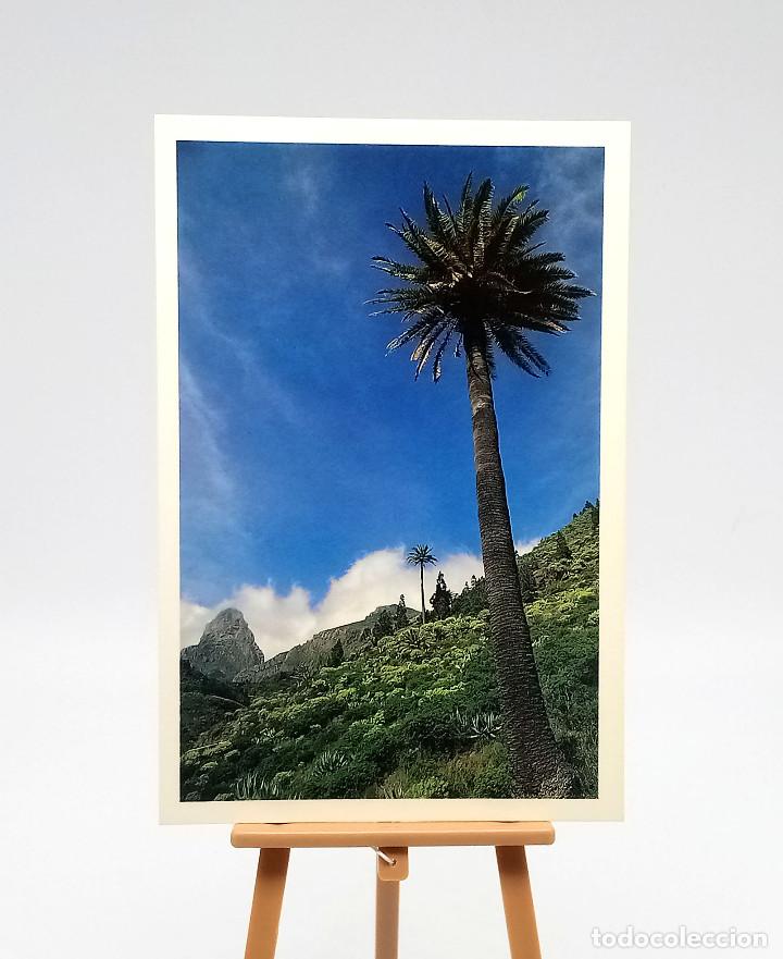 Postales: Postal 27 Roque Agando (La Gomera) - Foto 1