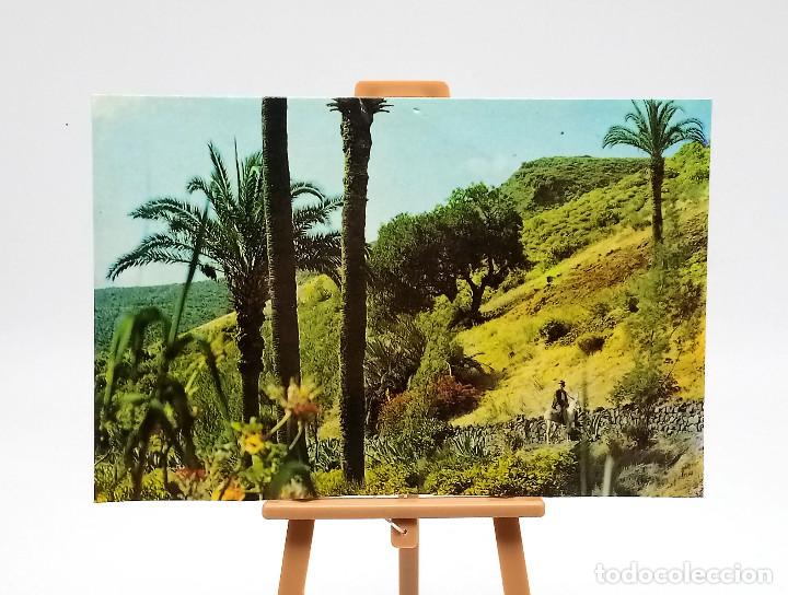 Postales: Postal 132 Gran Canaria - Foto 1