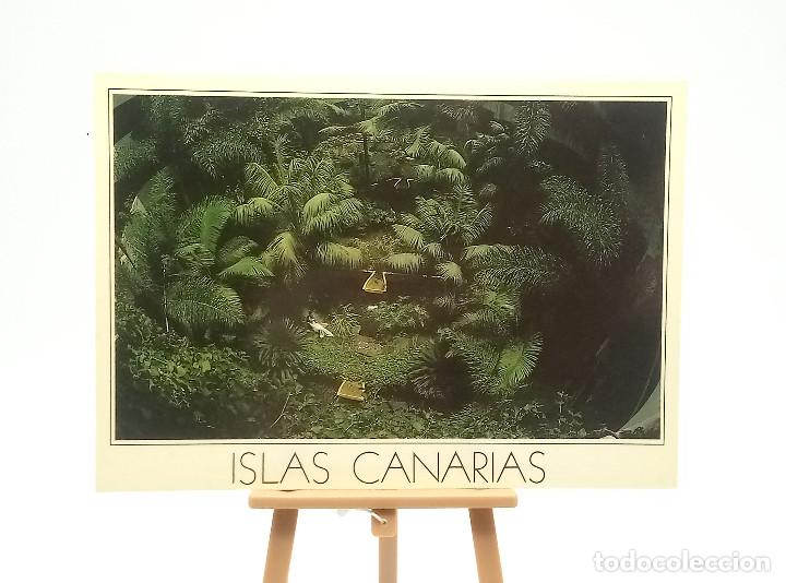 Postales: Postal 1135 Islas Canarias - Foto 1