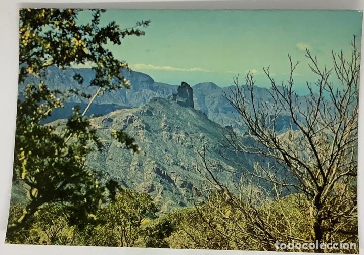 Postales: GRAN CANARIA, Roque Bentaiga. Ediciones Iris. Sin circular. - Foto 1