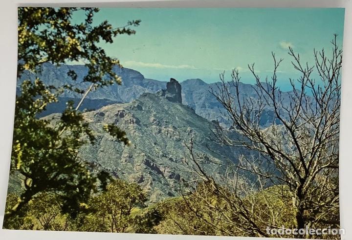 Postales: GRAN CANARIA, Roque Bentaiga. Distrib Canaria. 1976 sin circular. - Foto 1 - 302866523