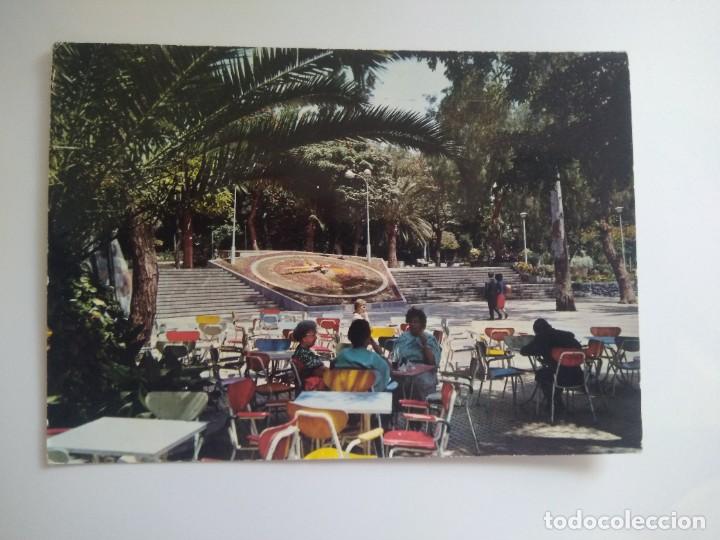 Postales: Postal santa cruz de tenerife parque municipal, reloj de flores
