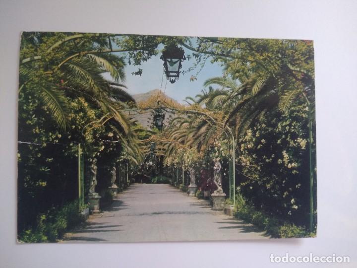 Postales: Postal santa cruz de tenerife, rincon parque municipal