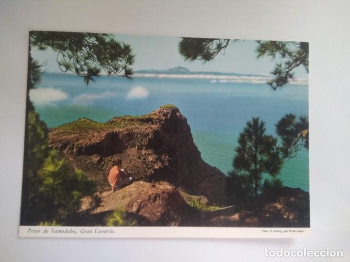Postales: Postal pinar de tamadaba, gran canaria - Foto 1