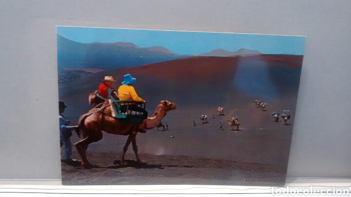 Cartes Postales: CAMELLOS. TIMANFAYA.LANZAROTE.N&ordm; 2768. EDICIONES GASTEIZ. ED BEASCOA. SIN CIRCULAR.