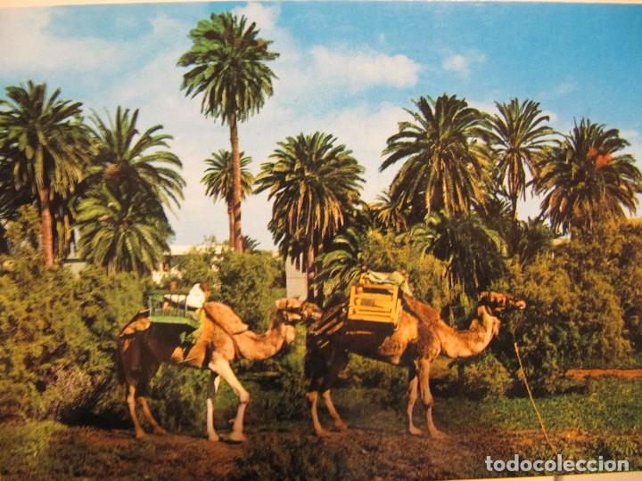 Postales: OASIS MASPALOMAS GRAN CANARIA BRITO - Foto 1