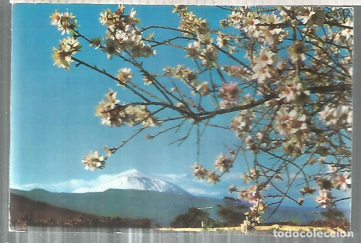 Postais: CANARIAS TENERIFE TEIDE ESCRITA