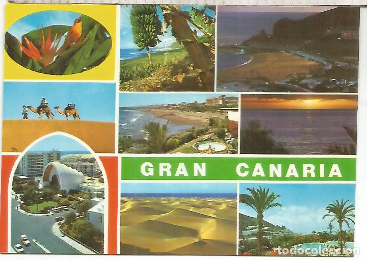 Postales: CANARIAS GRAN CANARIA ESCRITA - Foto 1
