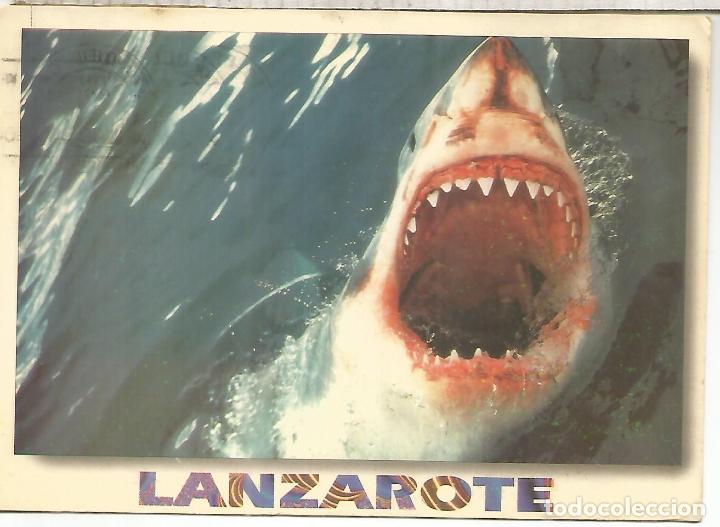 Postales: CANARIAS LANZAROTE ESCRITA - Foto 1