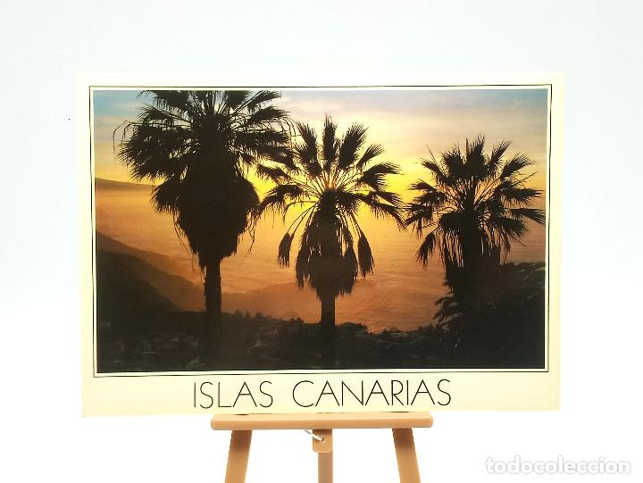 Postales: Postal 11 Islas Canarias - Foto 1