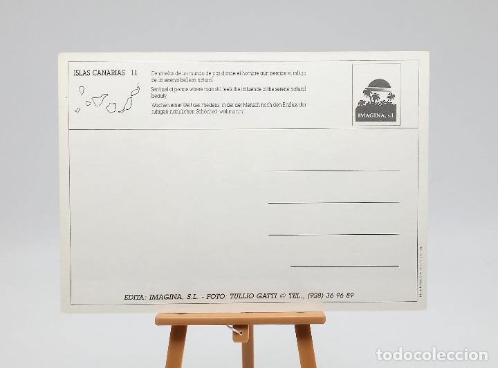 Postales: Postal 11 Islas Canarias - Foto 2