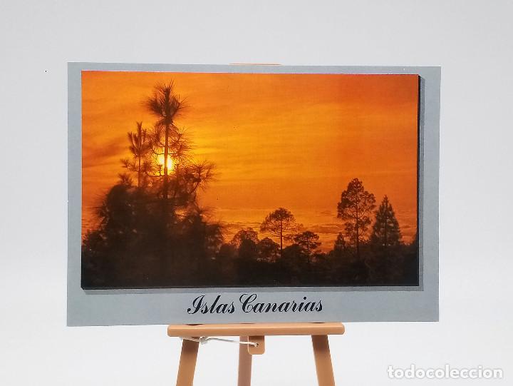 Postales: Postal 1001 Islas Canarias - Foto 1