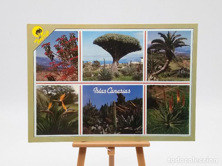 Postales: Postal 115 Tenerife - Foto 1