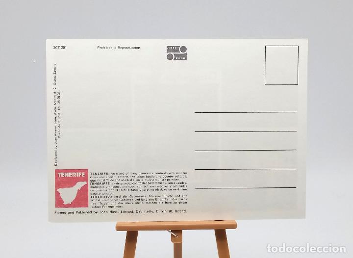 Postales: Postal 261 Tenerife - Foto 2