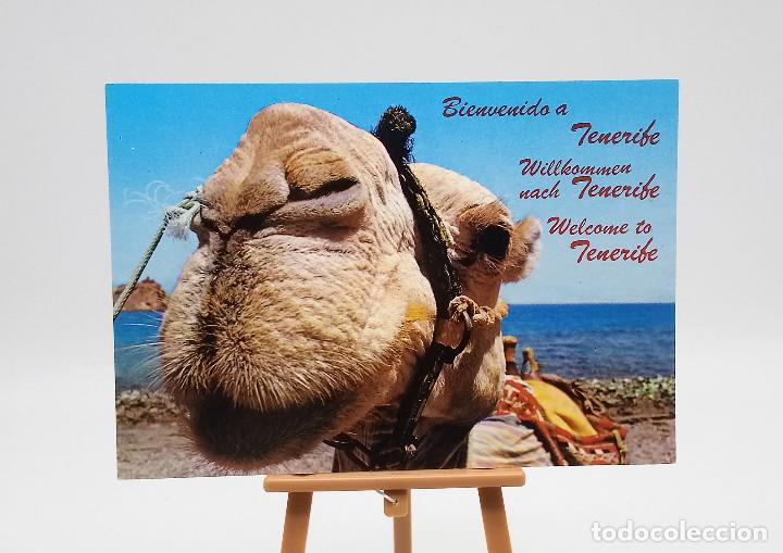 Postales: Postal 2981 Tenerife - Foto 1