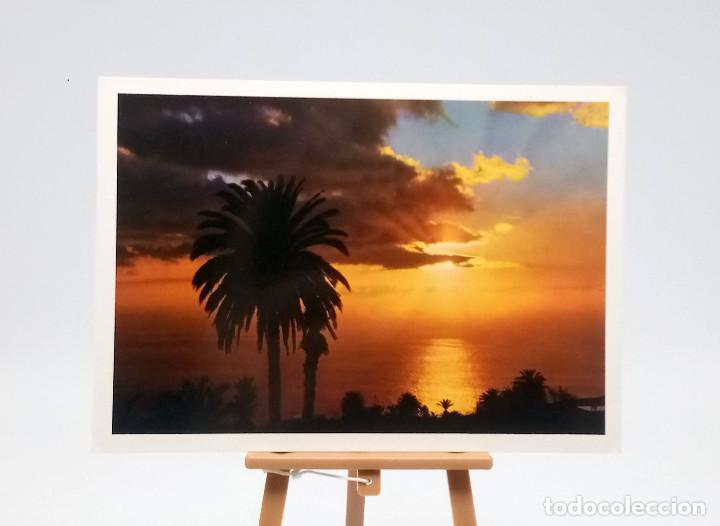 Postales: Postal 242 Islas Canarias - Foto 1