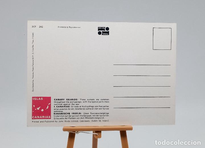 Postales: Postal 242 Islas Canarias - Foto 2