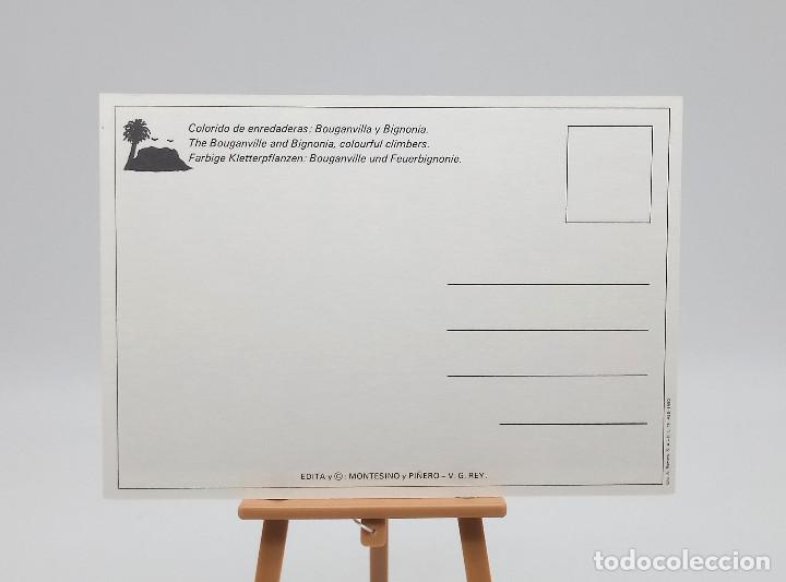 Postales: Postal de Islas Canarias - Foto 2