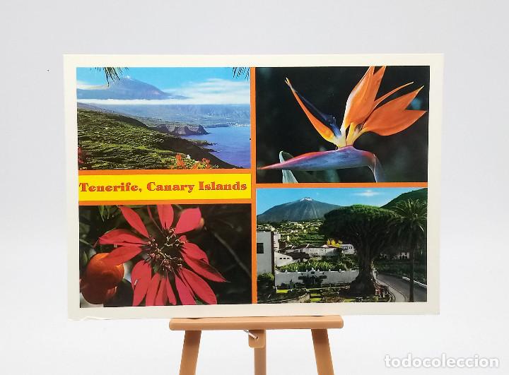 Postales: Postal 198 Tenerife - Foto 1