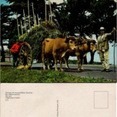 Postales: GRAN CANARIA - CARRETA DE BUEYES - ED. CONCESIONARIO JUASA Nº C-3 - 148X104MM - INÉDITA EN TODOCOLEC. Lote 313193023