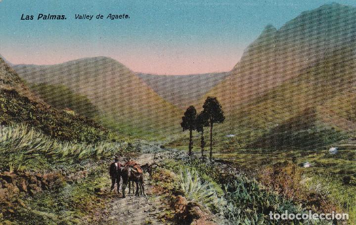Postales: LAS PALMAS - VALLE DE AGAETE - Foto 1