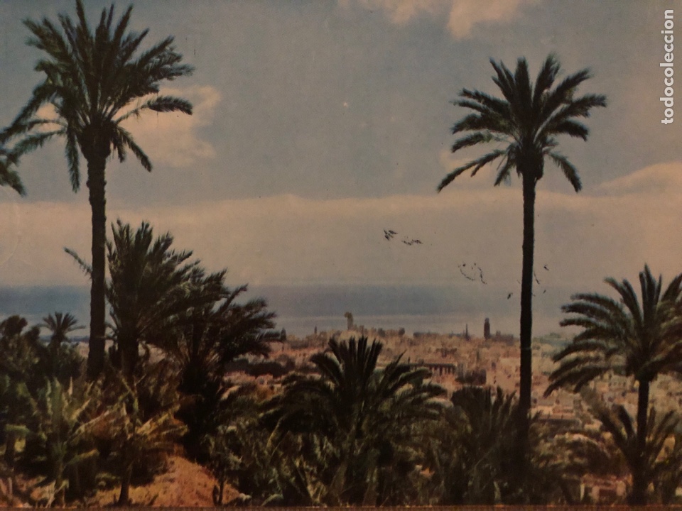 Postales: N&deg;51526 POSTAL TENERIFE - Foto 1