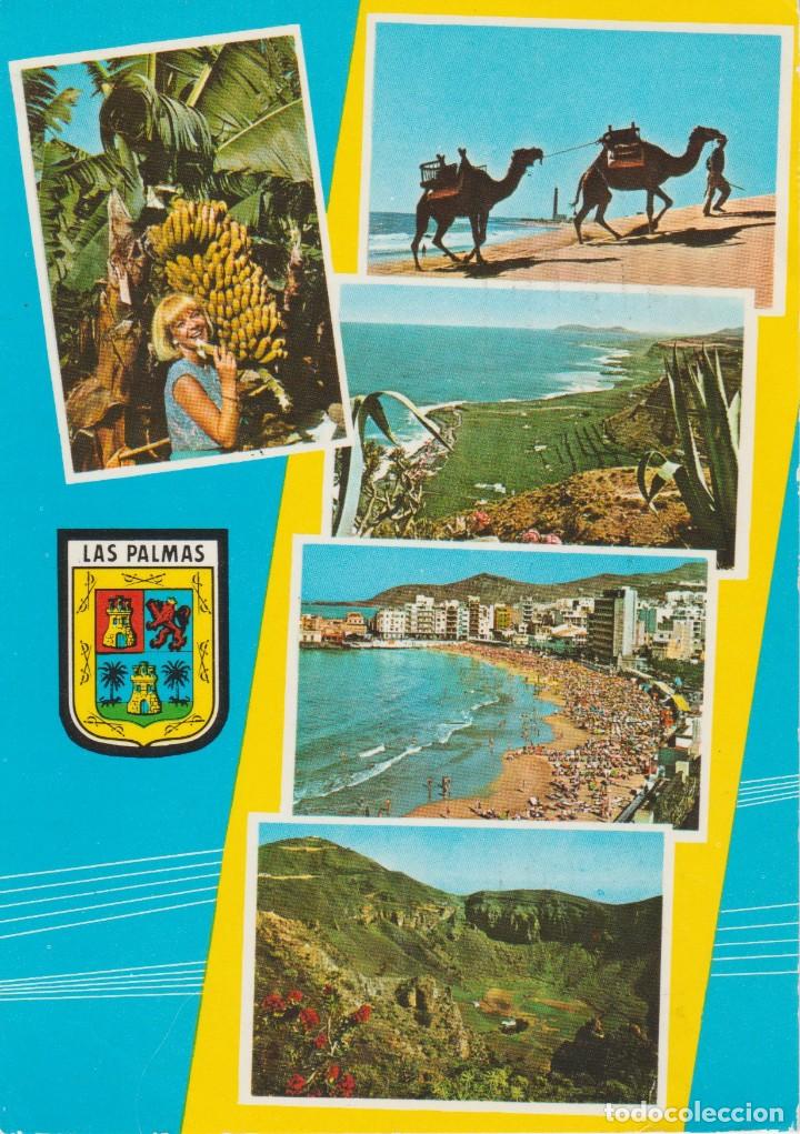 Postales: (508) GRAN CANARIA. LAS PALMAS - Foto 1