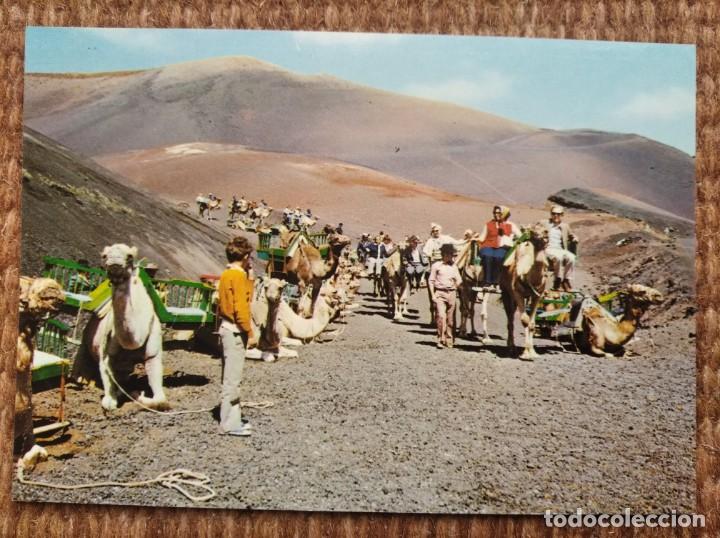 Postales: LANZAROTE - COMERCIAL SILVA - Foto 1